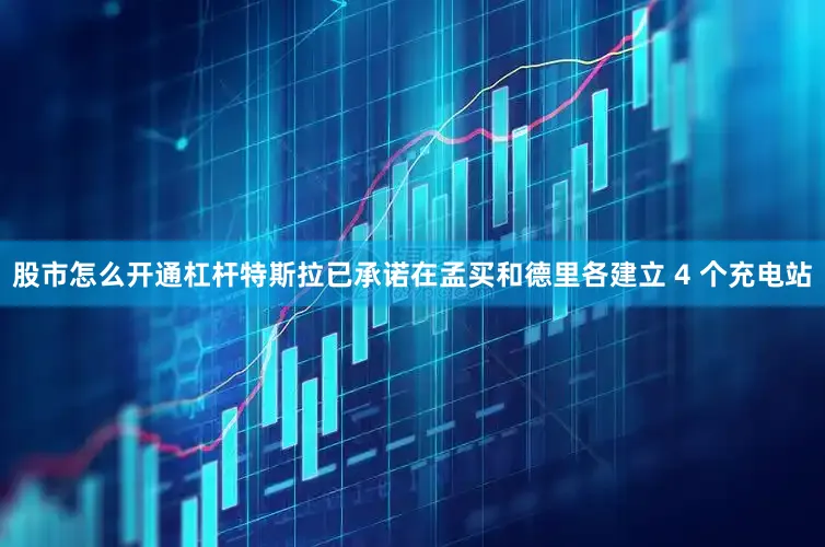股市怎么开通杠杆特斯拉已承诺在孟买和德里各建立 4 个充电站