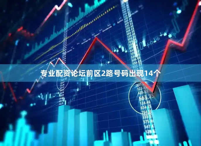 专业配资论坛前区2路号码出现14个