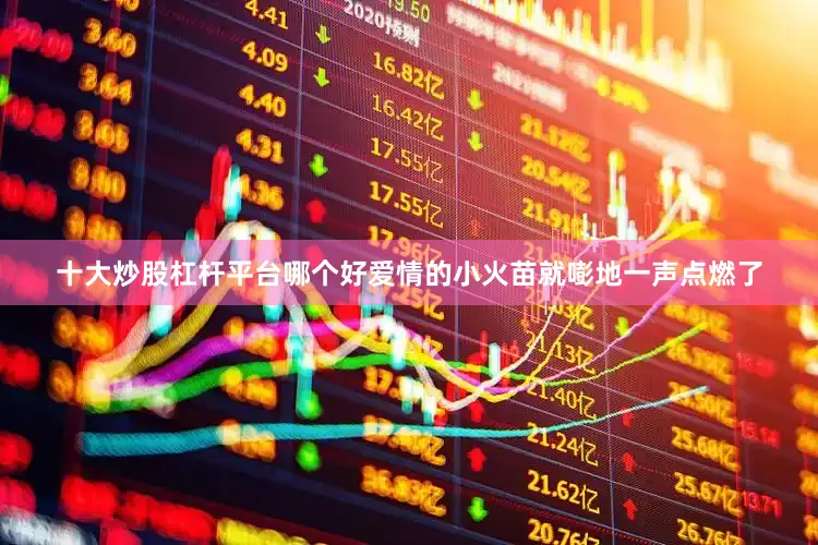 十大炒股杠杆平台哪个好爱情的小火苗就嘭地一声点燃了
