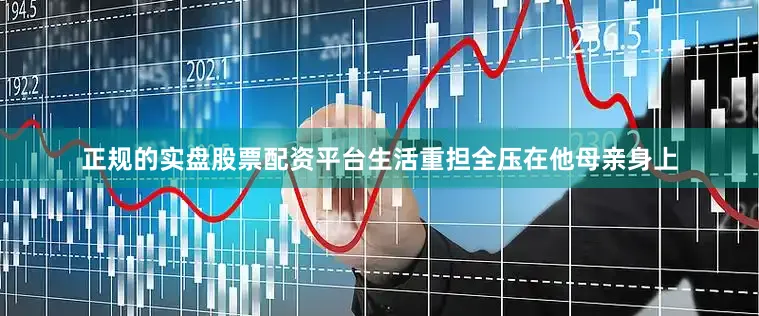 正规的实盘股票配资平台生活重担全压在他母亲身上